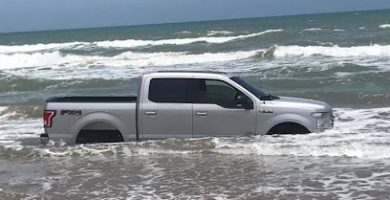 Grúas cerca de Port Isabel